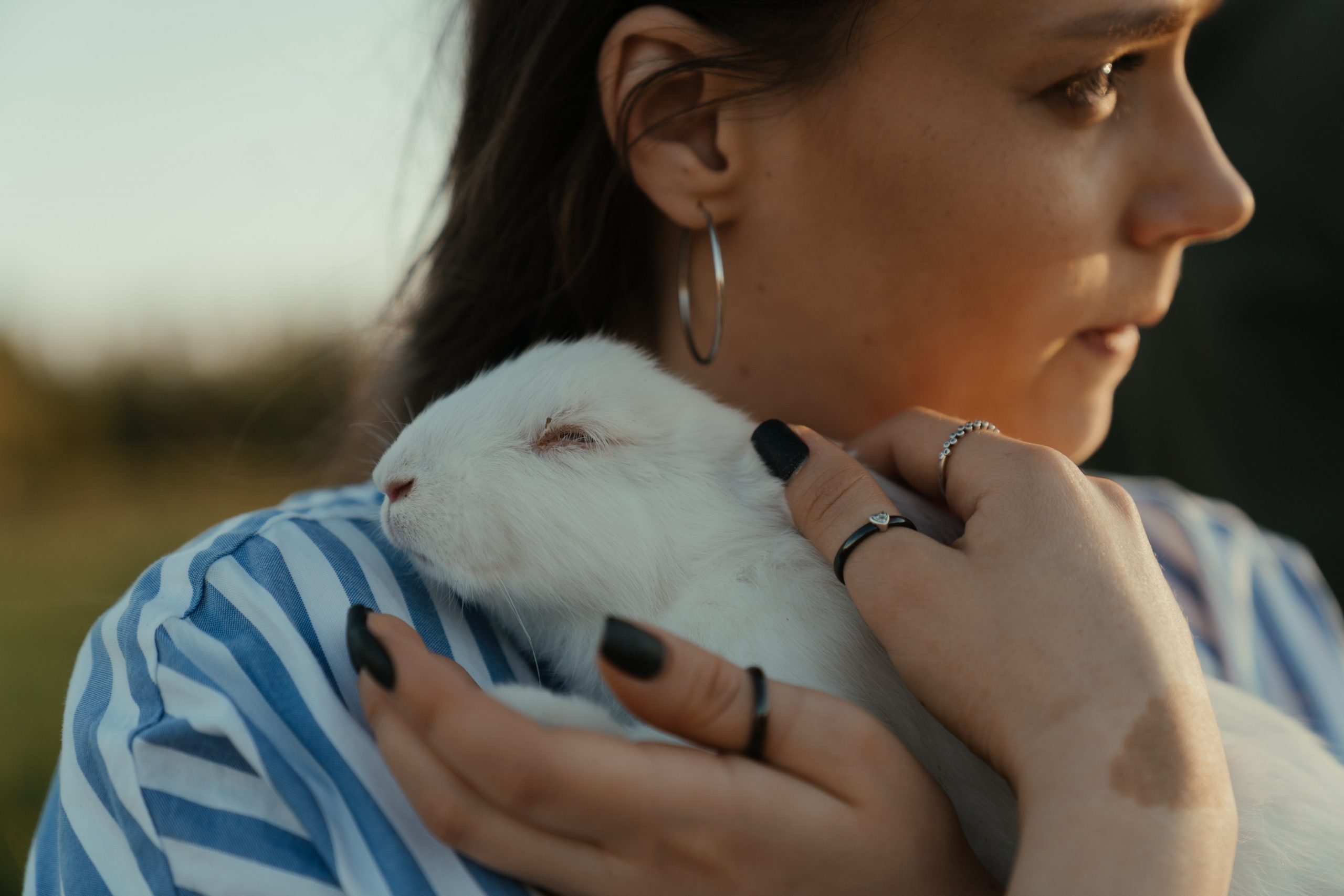 Ce que vous devez connaître sur la maltraitance des animaux