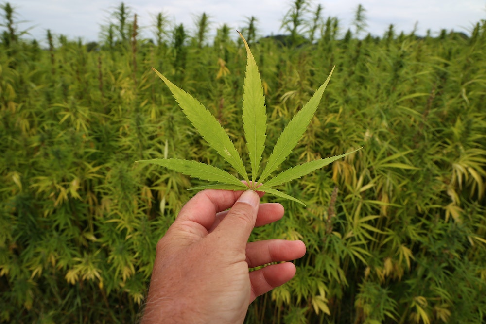 Expertise judiciaire : un outil crucial pour le droit de l'immigration