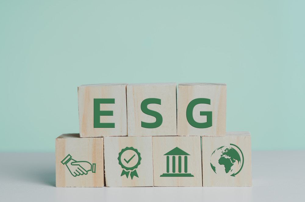 Le Comité Social Economique : Une Instance Représentative du Personnel Incontournable